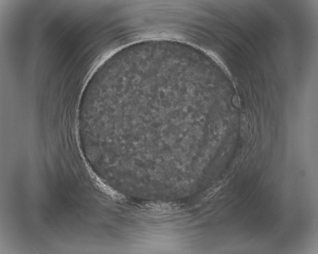 X0000078840895200612041836