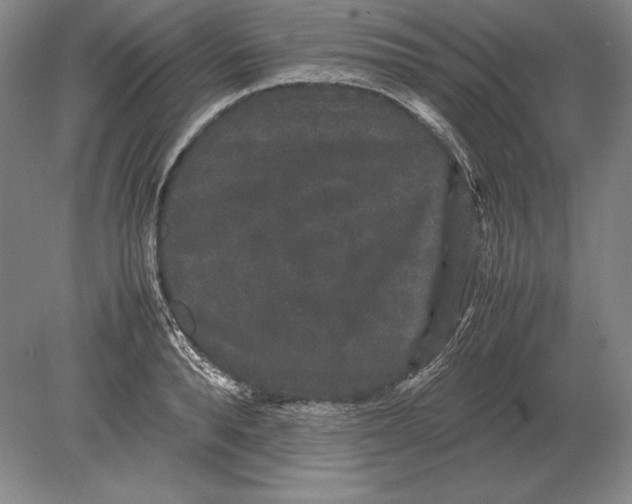 X0000078840896200612041836