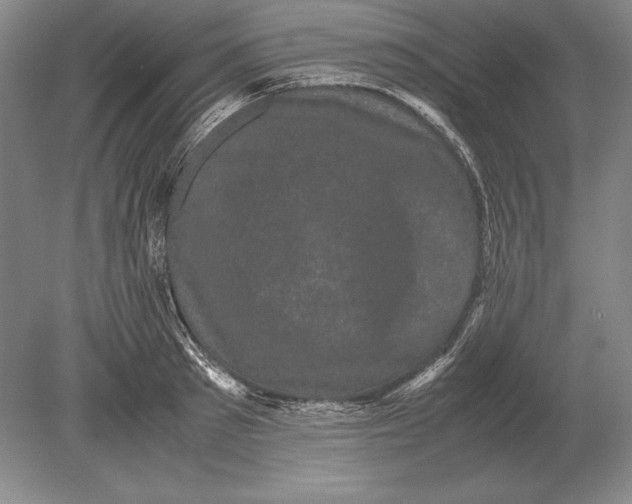 X0000078840897200612041836