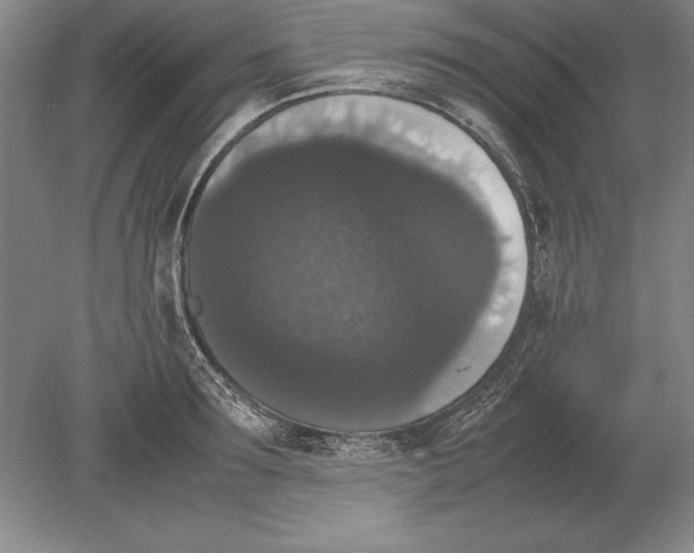 X0000078840899200612041836