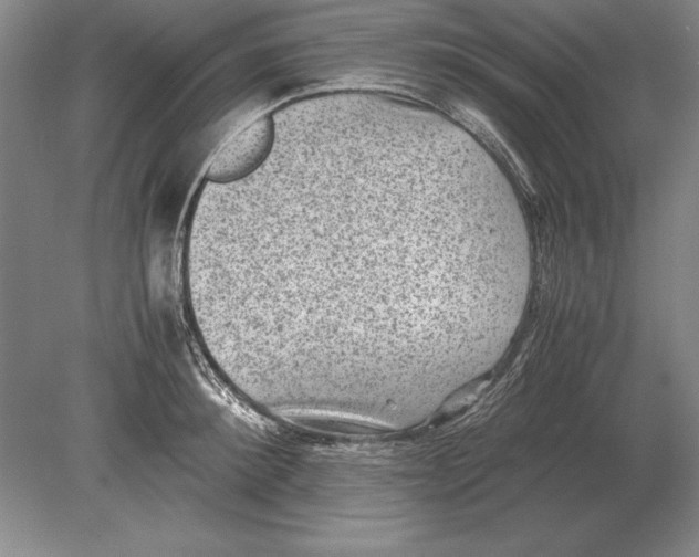 X0000078840900200612041836