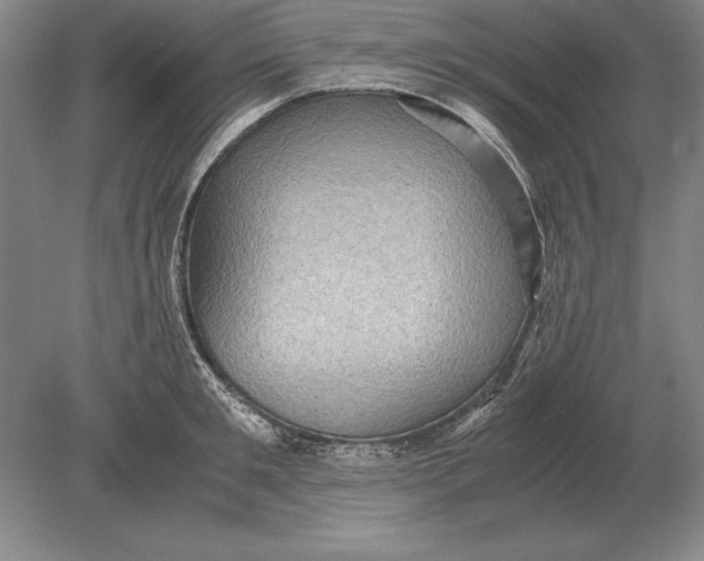 X0000078840901200612041836