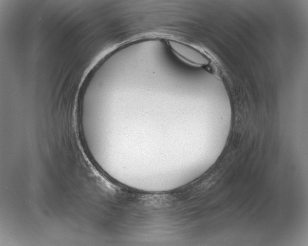 X0000078840902200612041836