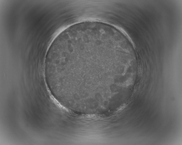 X0000078840903200612041836