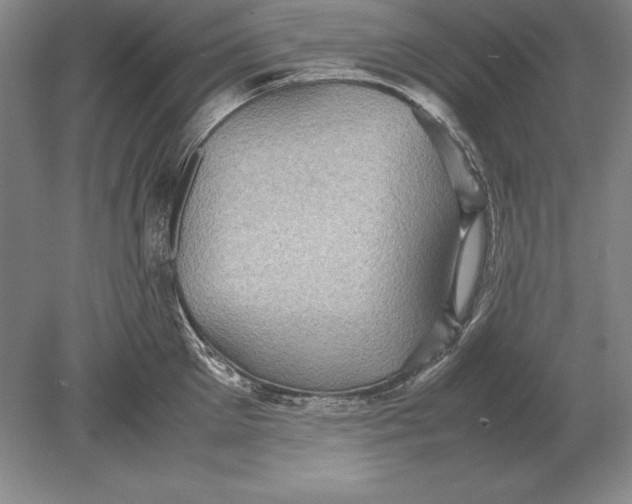 X0000078840905200612041836