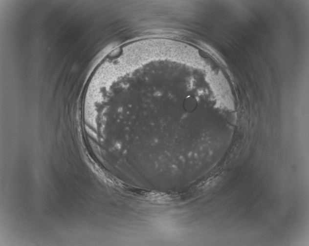 X0000078840907200612041836