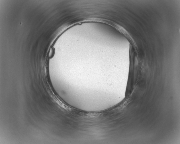 X0000078840908200612041836