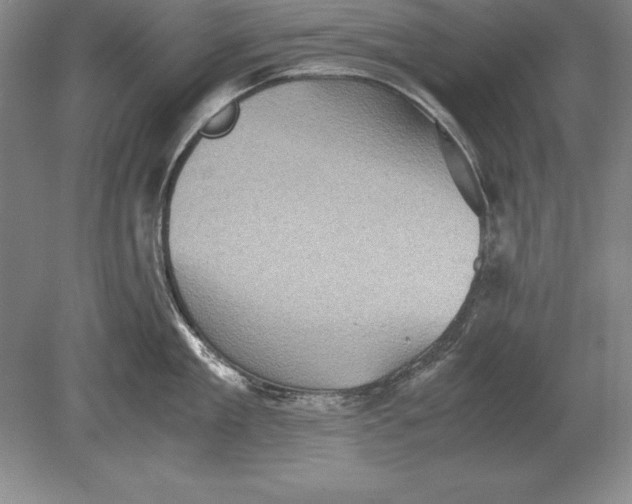 X0000078840909200612041836