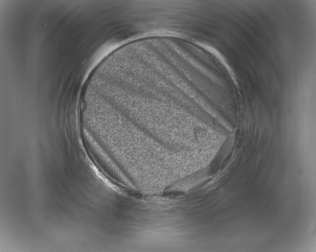 X0000078840910200612041836