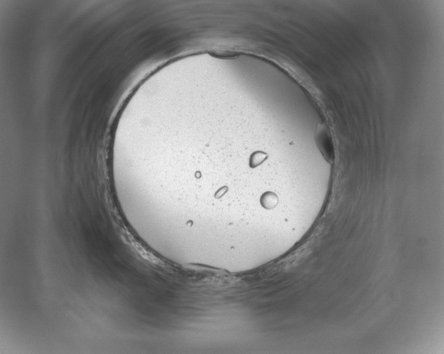 X0000078840912200612041836