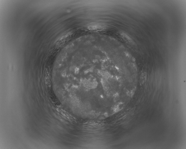 X0000078840917200612041835