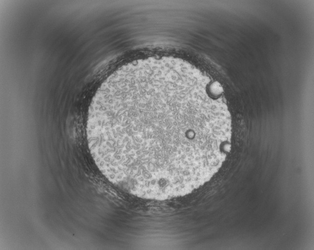 X0000078840918200612041835