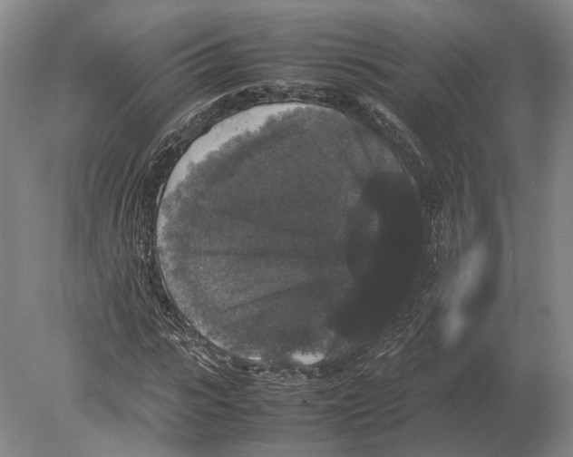 X0000078840919200612041835