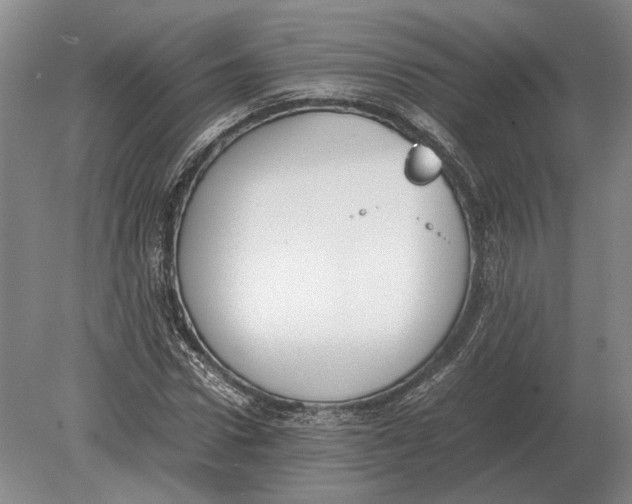 X0000078840922200612041835