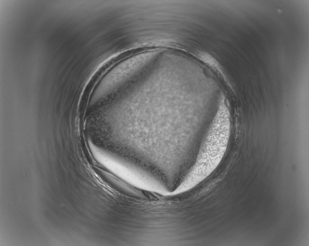 X0000078840924200612041835