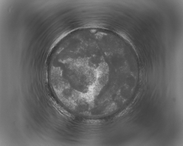 X0000078840925200612041835