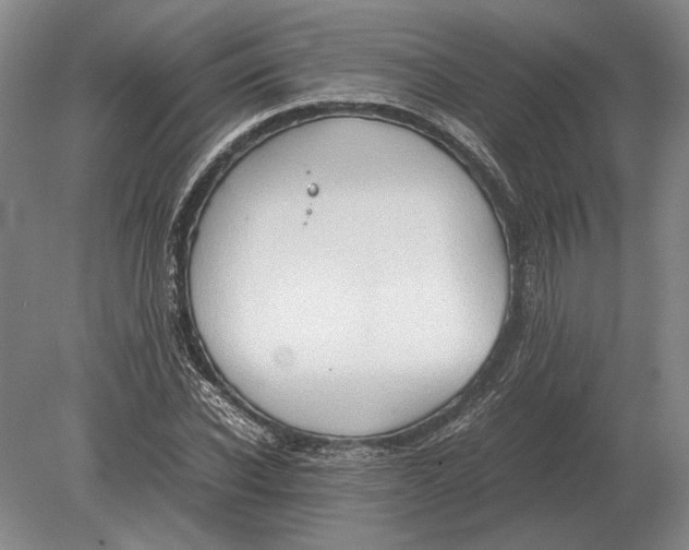 X0000078840926200612041835