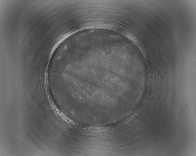 X0000078840928200612041835