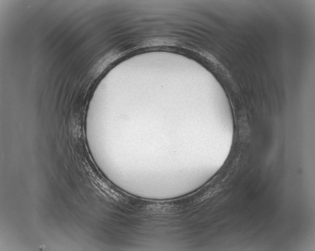 X0000078840929200612041835