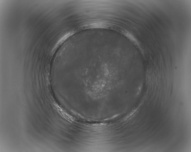 X0000078840930200612041835