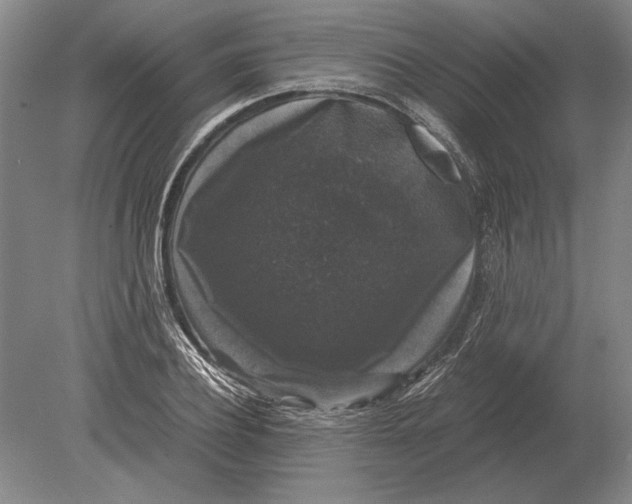 X0000078840932200612041835