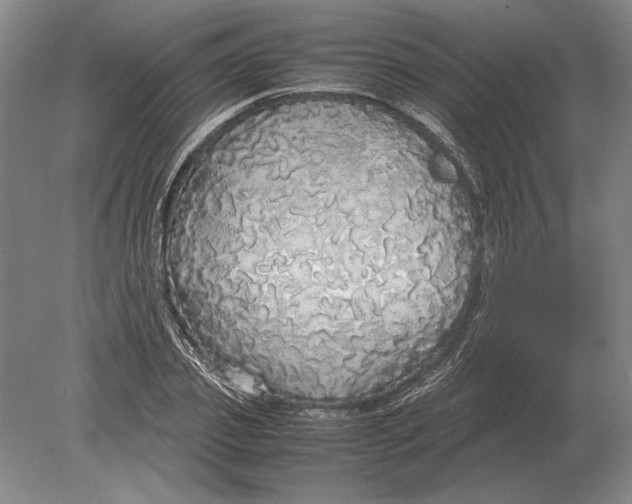 X0000078840933200612041835