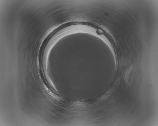 X0000078840935200612041836