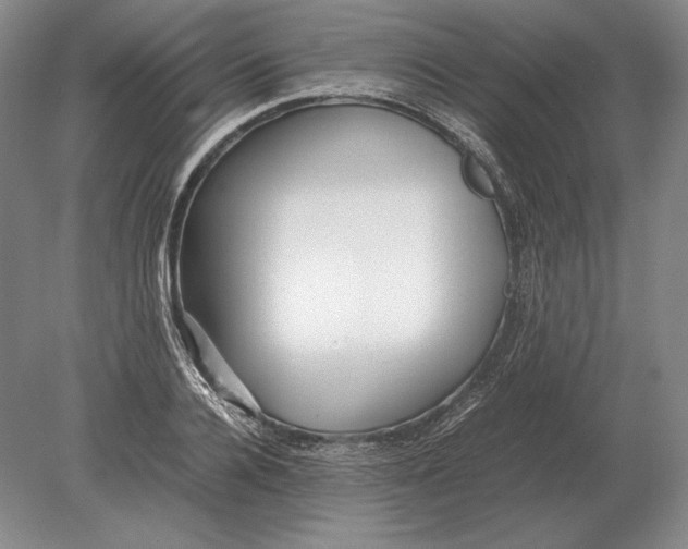 X0000078840936200612041836