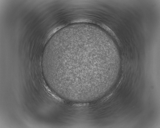 X0000078840937200612041836