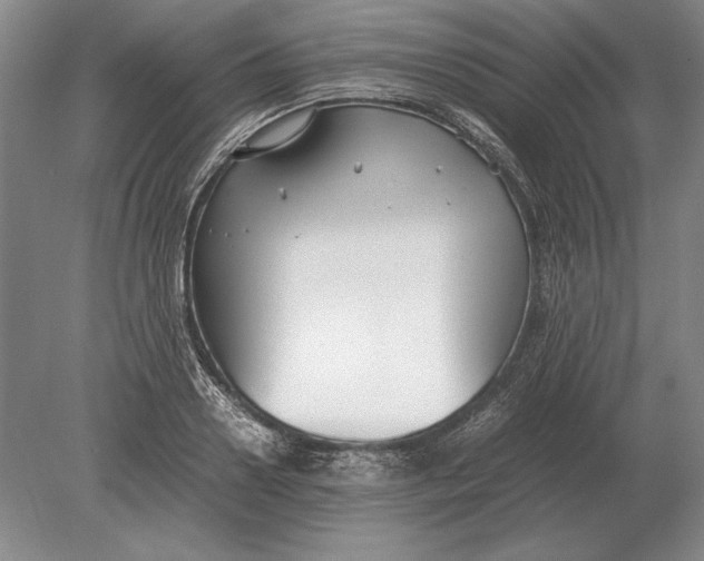 X0000078840938200612041836