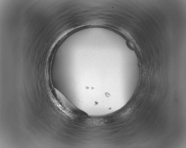 X0000078840939200612041836