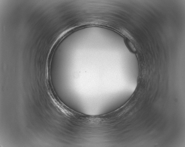 X0000078840940200612041836