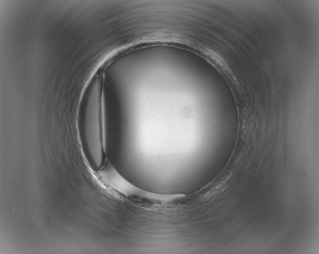 X0000078840942200612041836