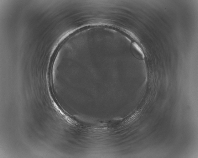 X0000078840943200612041836