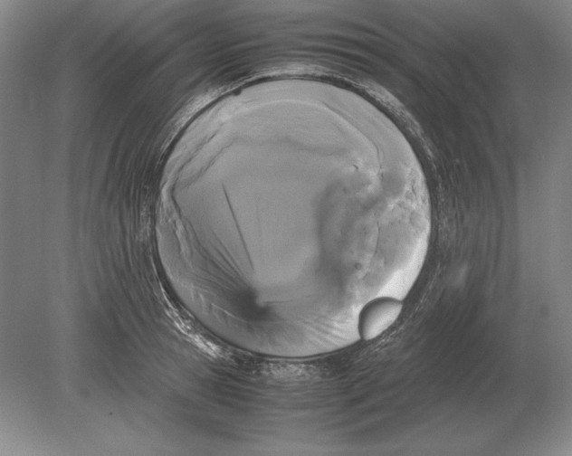 X0000078840945200612041836