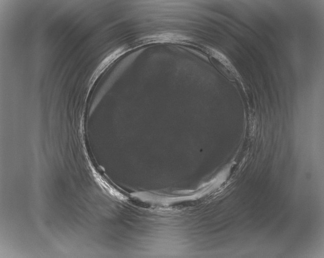 X0000078840946200612041836