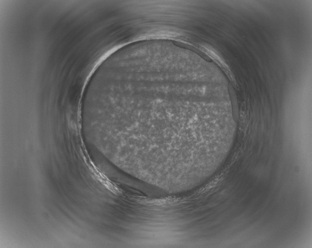 X0000078840948200612041836