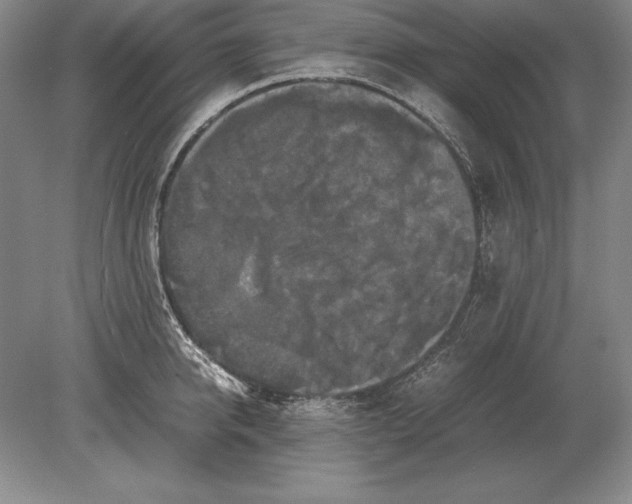 X0000078840950200612041836