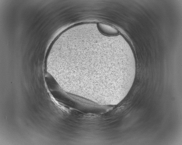 X0000078840951200612041836