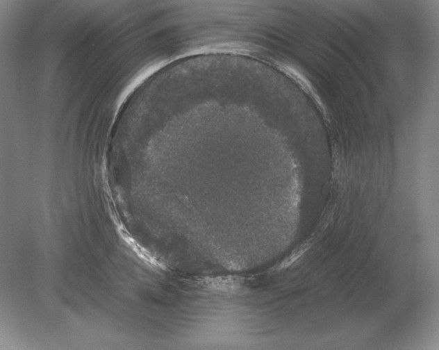 X0000078840952200612041836