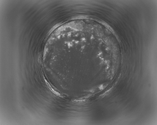 X0000078840953200612041836