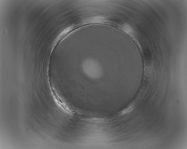 X0000078840954200612041836