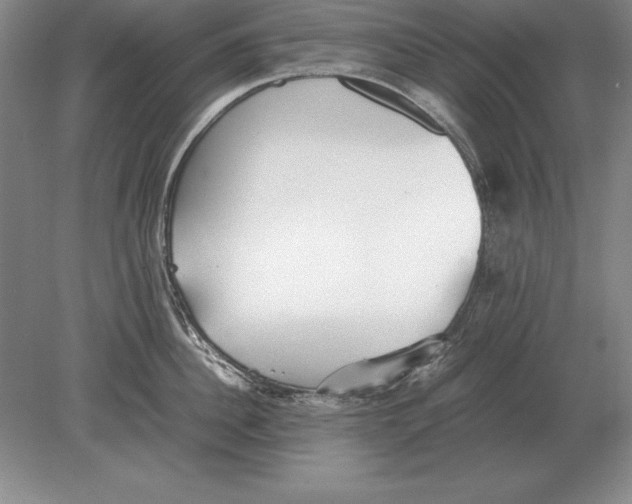 X0000078840956200612041836