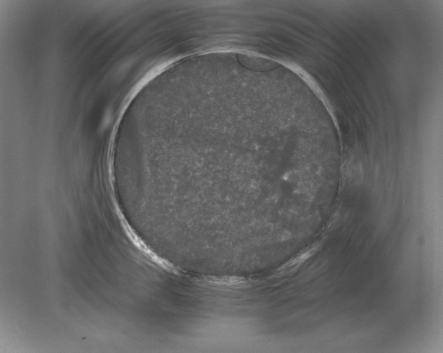 X0000078840957200612041836