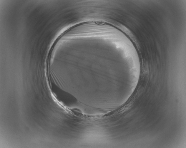 X0000078840958200612041836