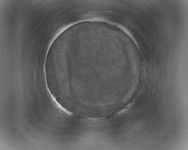 X0000078840959200612041836