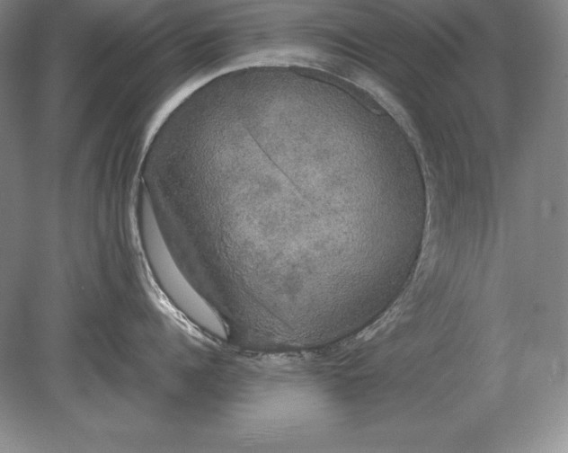 X0000078840960200612041836