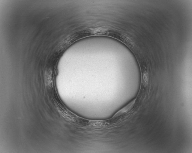 X0000078840963200612041835