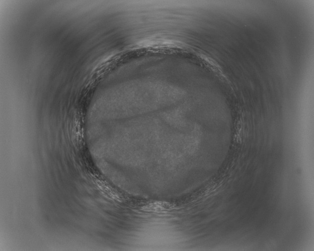 X0000078840966200612041835