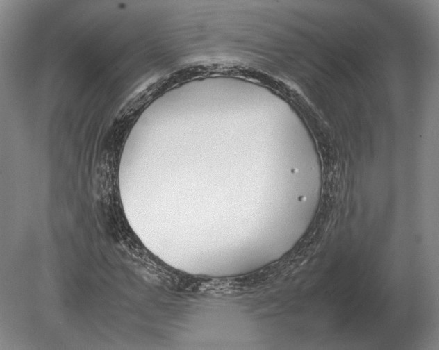 X0000078840967200612041835